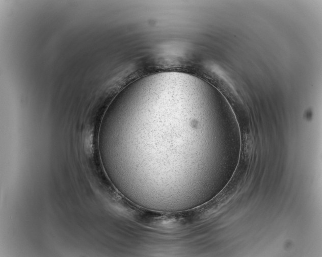 X0000099520267200805221450