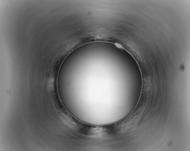 X0000099520269200805221450