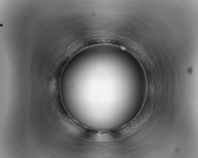 X0000099520270200805221450