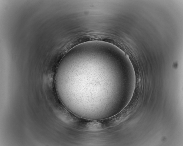 X0000099520271200805221450