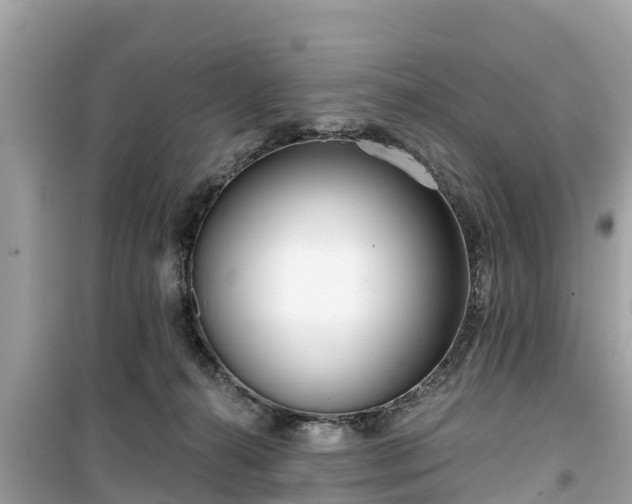 X0000099520272200805221450
