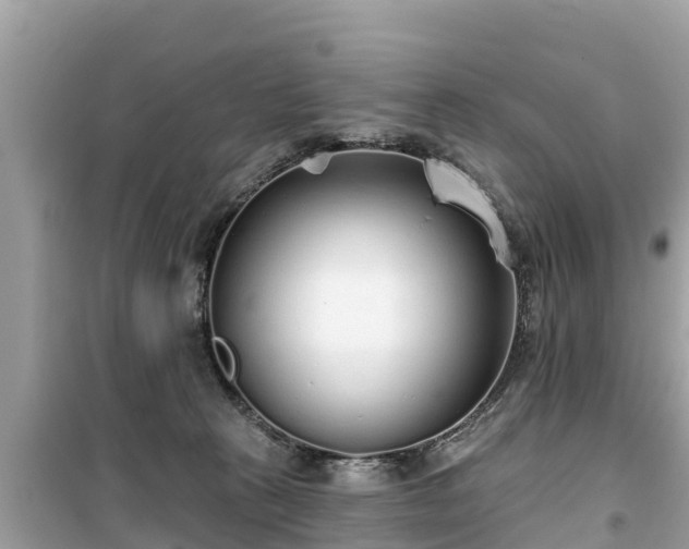 X0000099520273200805221450