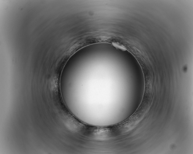 X0000099520274200805221450