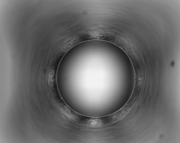 X0000099520275200805221450