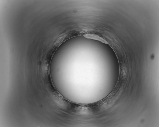 X0000099520276200805221450