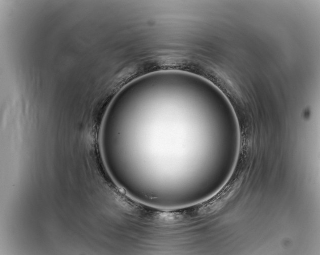 X0000099520277200805221450