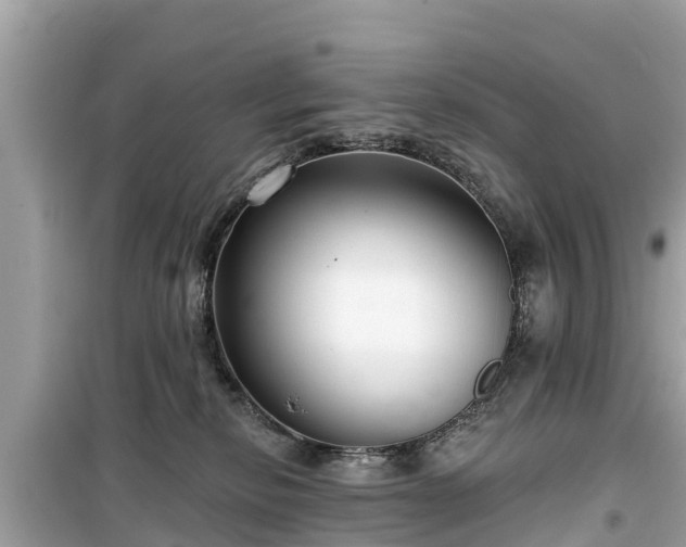 X0000099520278200805221450