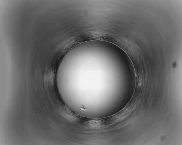 X0000099520279200805221450
