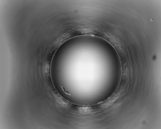 X0000099520281200805221450