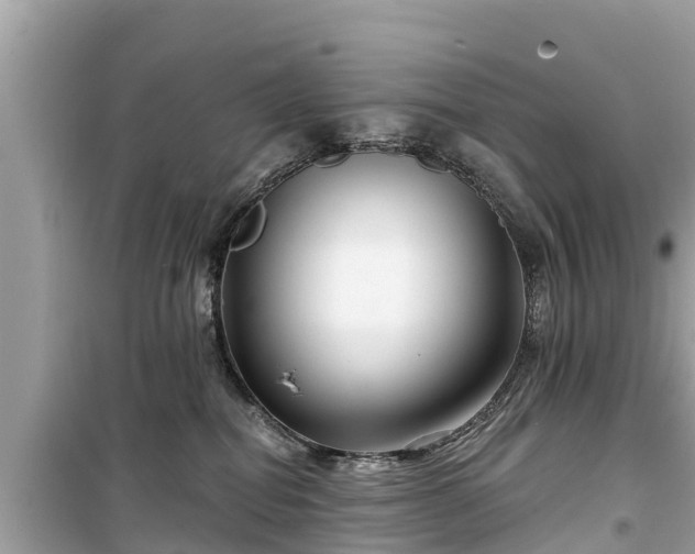 X0000099520282200805221450