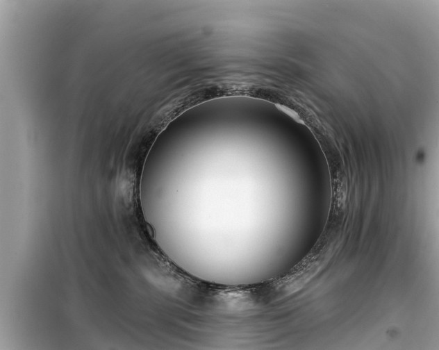 X0000099520283200805221450