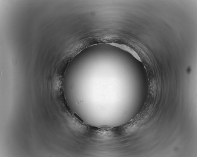 X0000099520284200805221450