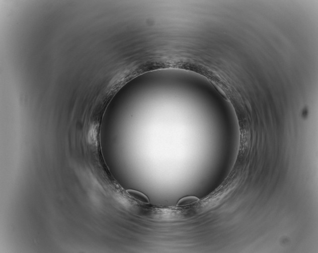 X0000099520286200805221450