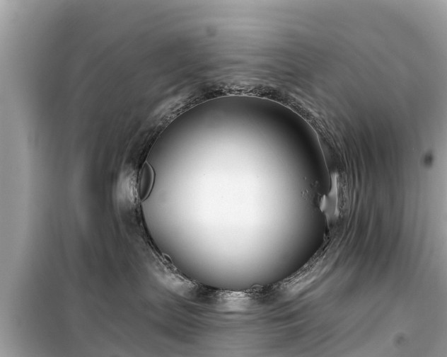 X0000099520287200805221450