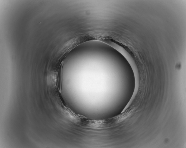 X0000099520288200805221450