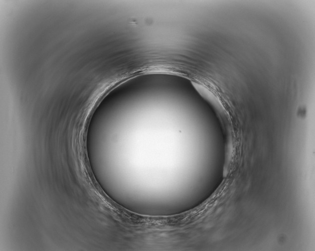 X0000099520289200805221449