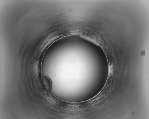 X0000099520291200805221449