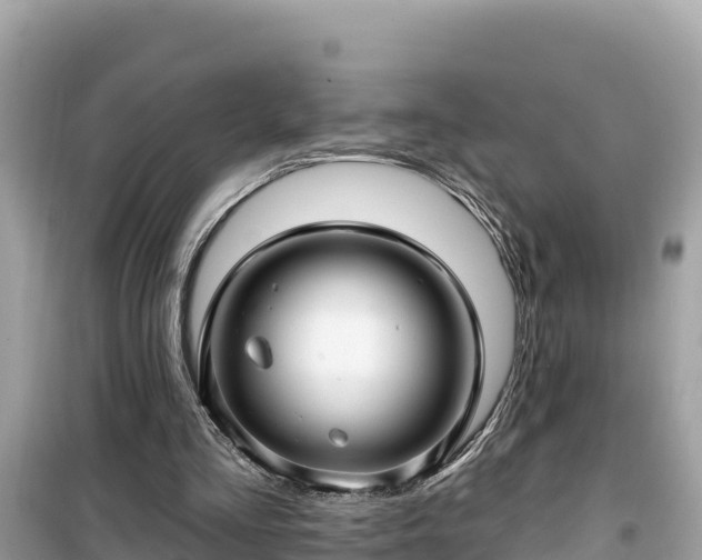 X0000099520293200805221449