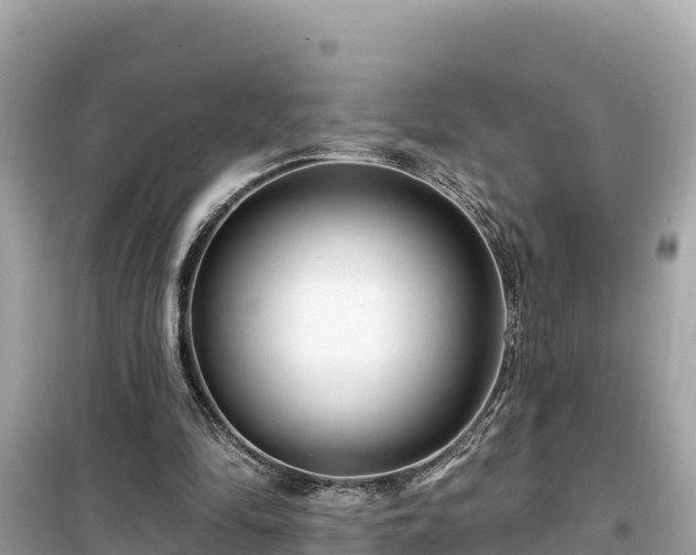 X0000099520294200805221449
