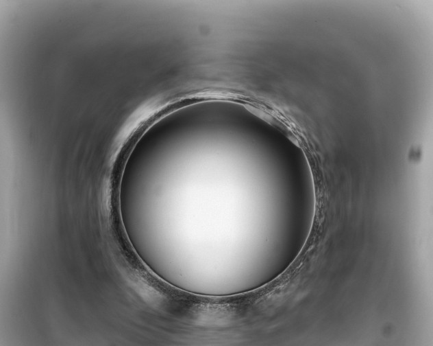 X0000099520296200805221449