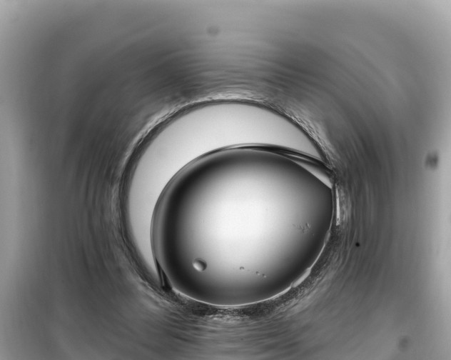 X0000099520300200805221449
