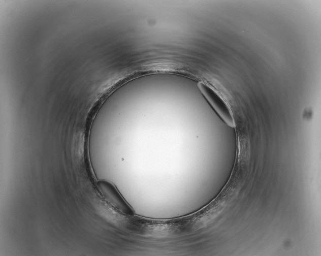 X0000099520301200805221449
