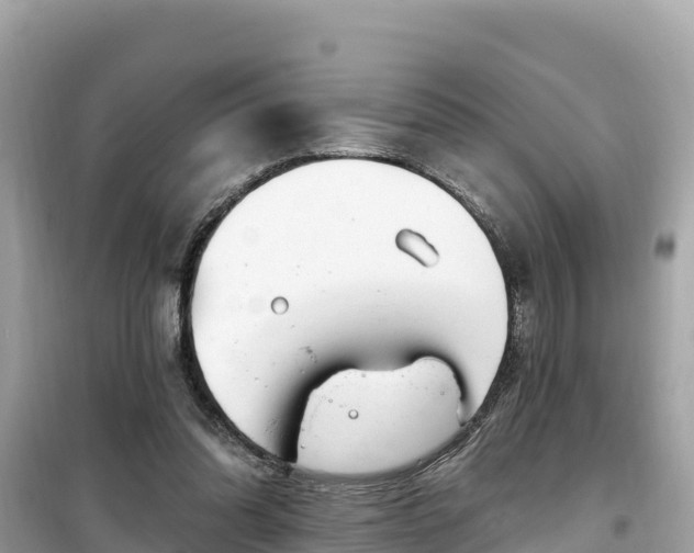X0000099520302200805221449