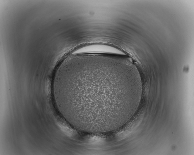 X0000099520303200805221449