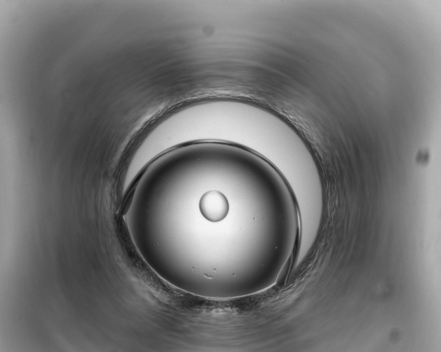 X0000099520304200805221449
