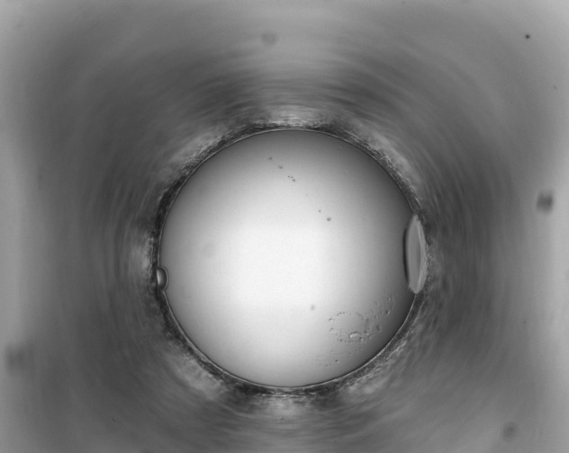 X0000099520305200805221449