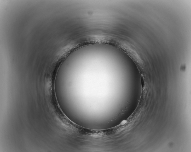 X0000099520306200805221449
