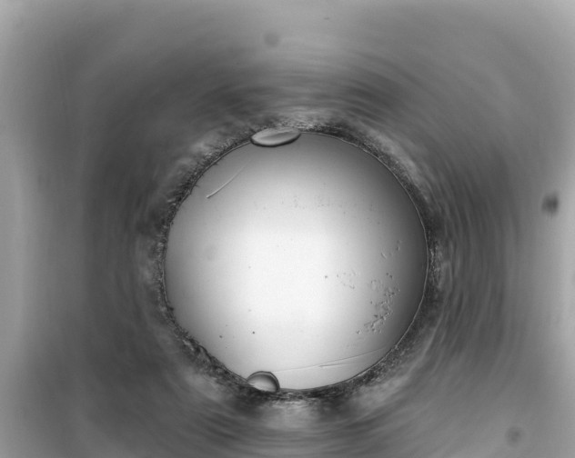 X0000099520307200805221449