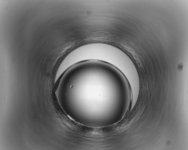 X0000099520308200805221449