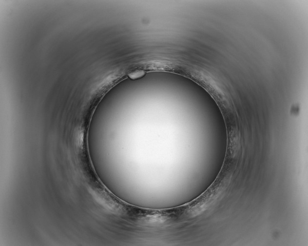 X0000099520310200805221449