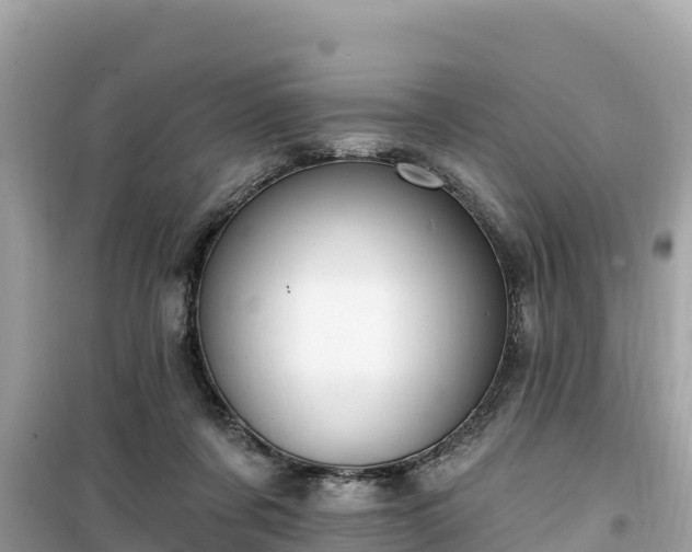X0000099520311200805221449