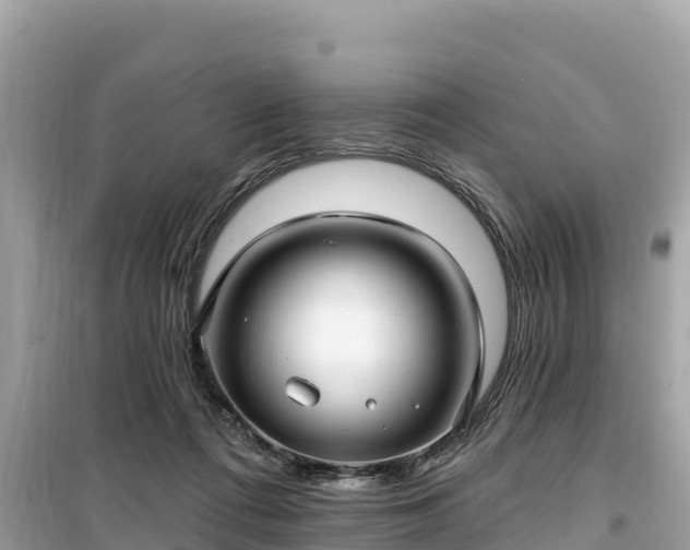 X0000099520312200805221449