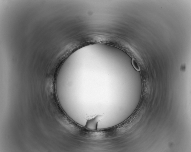 X0000099520313200805221449