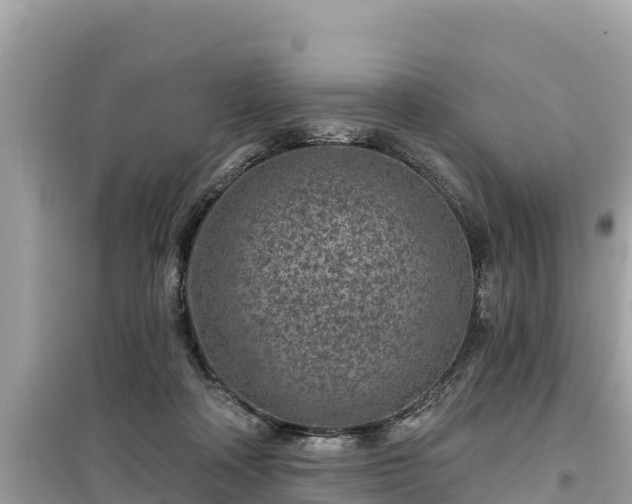 X0000099520314200805221449