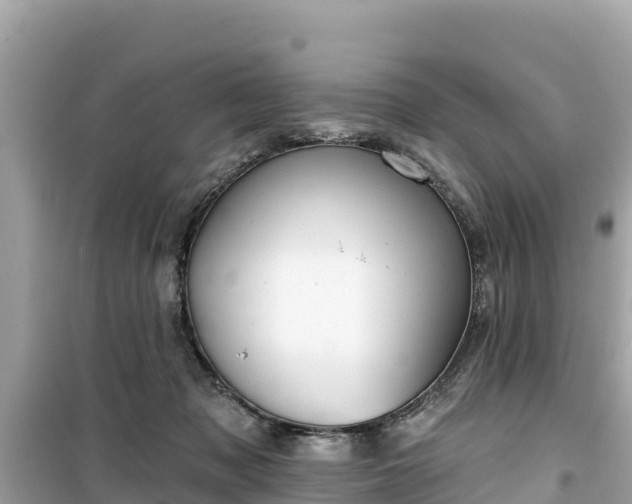 X0000099520317200805221449