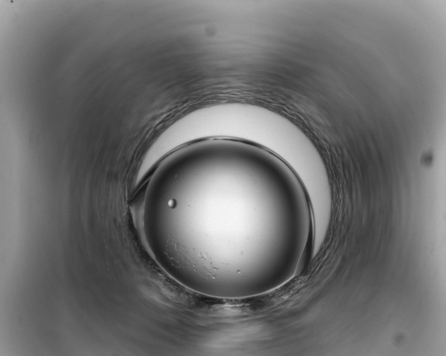 X0000099520320200805221449