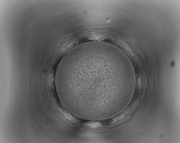 X0000099520322200805221449