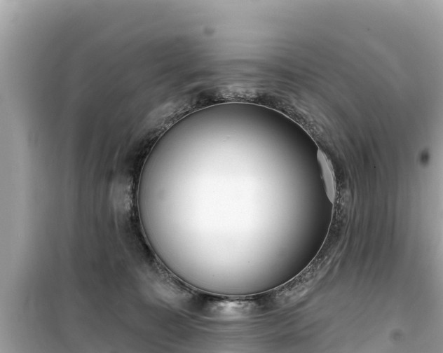 X0000099520323200805221449