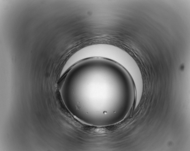 X0000099520324200805221449