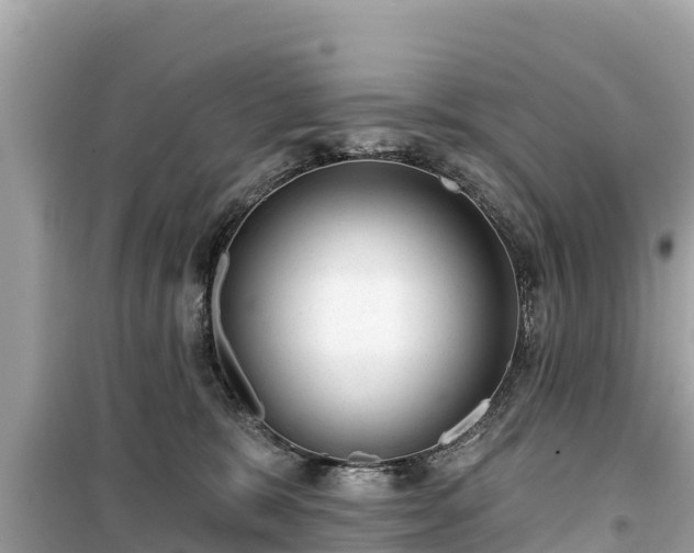 X0000099520327200805221449