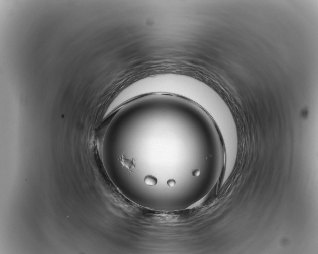 X0000099520328200805221449