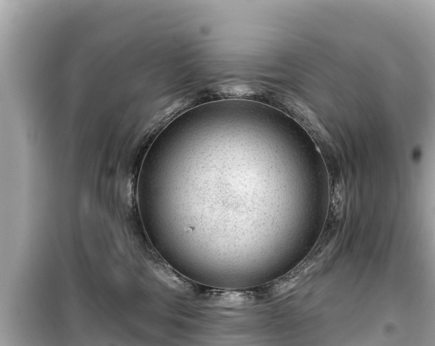 X0000099520330200805221449