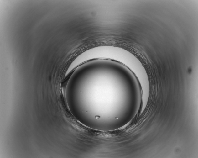 X0000099520332200805221449