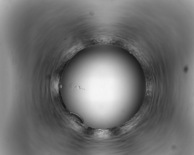 X0000099520334200805221449