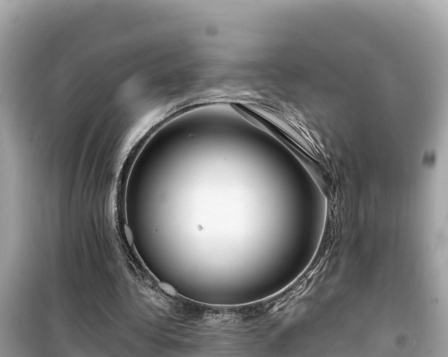 X0000099520340200805221448