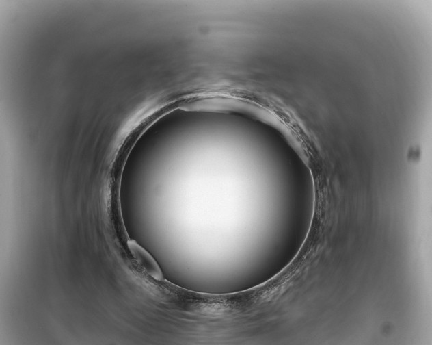 X0000099520344200805221448